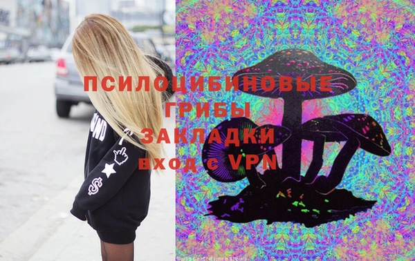 apvp Балахна