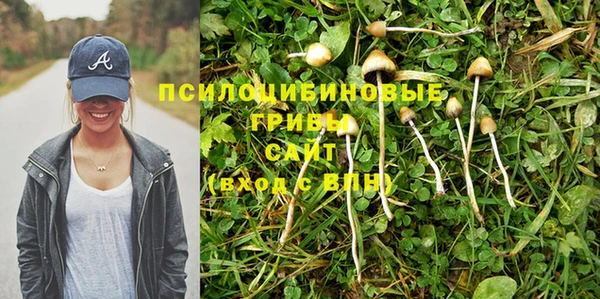apvp Балахна